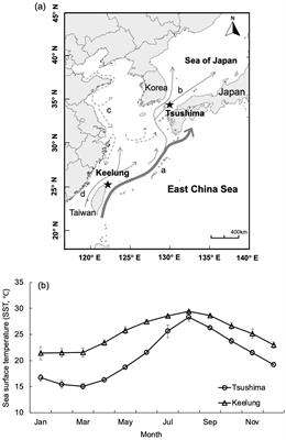 Population connectivity of the swordtip squid Uroteuthis edulis between southern Japan and northern Taiwan using statolith trace elemental analysis